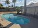 Beautiful backyard pool with ample space for lounging, complemented by mature palm trees and a covered patio at 8146 N 17Th Dr, Phoenix, AZ 85021