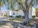 Charming white single-story home with meticulous front yard and a mature weeping willow at 8423 E Heatherbrae Dr, Scottsdale, AZ 85251
