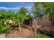 This is a backyard with grape vines growing above a wooden chicken coup at 8905 W Jefferson St, Tolleson, AZ 85353
