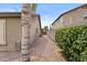 Charming backyard pathway leads to a wooden gate, framed by a lush privacy hedge at 12214 W Madison St, Avondale, AZ 85323