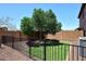 Grassy backyard area surrounded by a block wall and wrought iron fence at 18351 W Southgate Ave, Goodyear, AZ 85338