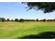 Expansive green lawn area in a well-maintained community park with shade trees at 18351 W Southgate Ave, Goodyear, AZ 85338