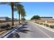 Well-maintained street lined with palm trees and landscaping in a residential neighborhood at 18351 W Southgate Ave, Goodyear, AZ 85338