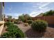 Lush backyard landscaping with vibrant plants and a stone ground cover at 21883 N 263Rd Dr, Buckeye, AZ 85396