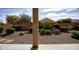 View of the private and well-maintained backyard featuring desert landscaping and a block fence at 21883 N 263Rd Dr, Buckeye, AZ 85396