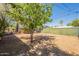 Private backyard with mature tree cover, lush landscaping, and a secure fence at 3115 N 26Th St, Phoenix, AZ 85016