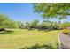 Community greenspace with lush grass, mature trees, and walking paths at 316 N 78Th Pl, Mesa, AZ 85207