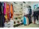 Spacious walk-in closet with custom shelving and hanging rods for optimal organization and clothing display at 32819 N 23Rd Ave, Phoenix, AZ 85085