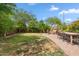 Lush backyard features an outdoor living area with comfortable seating and mature trees at 4430 E Creosote Dr, Cave Creek, AZ 85331