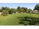 Expansive backyard showcasing mature trees and verdant lawn at 5202 E Larkspur Dr, Scottsdale, AZ 85254