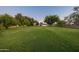Expansive backyard featuring lush green grass and mature trees at 5202 E Larkspur Dr, Scottsdale, AZ 85254