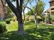The backyard features a well maintained lawn with a golf course in view at 6535 E Superstition Springs Blvd # 217, Mesa, AZ 85206