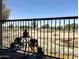 View from balcony shows golf course and the outdoor scenery at 6535 E Superstition Springs Blvd # 217, Mesa, AZ 85206