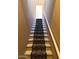 Carpeted stairway with white railing leading to the upper level of the home at 6535 E Superstition Springs Blvd # 217, Mesa, AZ 85206