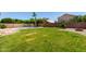 Spacious backyard with lush green grass, a sparkling pool, and privacy wall at 7179 W Surrey Ave, Peoria, AZ 85381