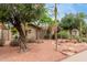 Landscaped front yard featuring desert plants, a mature tree and vibrant red rock covering the desert landscape at 7210 N 17Th Ave, Phoenix, AZ 85021