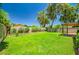 Large backyard with green grass, mature trees, and a well-maintained privacy wall at 8178 W Tonopah Dr, Peoria, AZ 85382