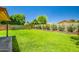 Lush backyard with green grass, mature trees, and a well-maintained privacy wall at 8178 W Tonopah Dr, Peoria, AZ 85382