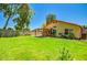Spacious backyard featuring green grass, mature trees and covered patio at 8178 W Tonopah Dr, Peoria, AZ 85382