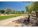 Scenic community park featuring lush green spaces, walking paths, and inviting benches for relaxation and recreation at 8178 W Tonopah Dr, Peoria, AZ 85382