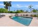 A refreshing backyard pool, complemented by palm trees, offers a serene escape at 101 E Linger Ln, Phoenix, AZ 85020