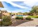 Inviting backyard with a sparkling pool, mature landscaping, and a paver patio at 12725 W Forest Pleasant Pl, Peoria, AZ 85383
