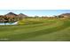 Lush green golf course with a water hazard near desert homes at 12725 W Forest Pleasant Pl, Peoria, AZ 85383