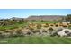 View of a green golf course with native desert vegetation and flowering bushes at 12725 W Forest Pleasant Pl, Peoria, AZ 85383