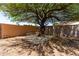 Backyard featuring a large shade tree, desert landscaping, a block wall, and a concrete pad at 2302 E Monte Cristo Ave, Phoenix, AZ 85022