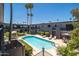 Relaxing community pool with lounge chairs and umbrellas surrounded by lush greenery at 3230 E Pinchot Ave # 32, Phoenix, AZ 85018