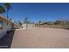 Wide backyard view with a metal shed, covered patio and gravel ground, and palm trees at 3362 E Carol Ave, Mesa, AZ 85204