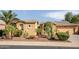 Charming home with desert landscaping, showcasing a well-maintained yard with mature cacti and palm trees at 42311 W Good Vibrations Ln, Maricopa, AZ 85138