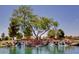 Picturesque pond with a rocky waterfall and blooming flowers, creating a serene and scenic community landscape at 42311 W Good Vibrations Ln, Maricopa, AZ 85138