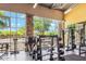 Well-equipped gym with modern weightlifting machines and large windows overlooking green outdoor scenery at 4741 E Fire Opal Ln, San Tan Valley, AZ 85143