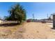 Expansive backyard with mature tree, storage shed, and outdoor dining area at 511 E Purdue Ave, Phoenix, AZ 85020