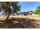View of the backyard featuring a stucco house and desert landscape with trees at 511 E Purdue Ave, Phoenix, AZ 85020