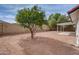 Large backyard showing a mature orange tree, block wall, and covered patio area at 743 N Bermuda --, Mesa, AZ 85205