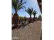 Landscaped backyard featuring palm trees, cacti, and gravel ground cover for a desert-inspired aesthetic at 8303 E Meseto Ave, Mesa, AZ 85209