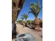 Backyard features decorative palm trees, cacti, and desert landscaping, creating a serene outdoor space at 8303 E Meseto Ave, Mesa, AZ 85209