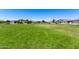 Expansive green space perfect for outdoor activities, surrounded by well-maintained homes in the community at 9837 E Satellite Dr, Mesa, AZ 85212