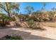This backyard features a stone patio surrounded by lush landscaping and mature trees at 10626 N 8Th St, Phoenix, AZ 85020