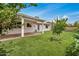 Expansive backyard featuring lush green grass, a covered patio, and mature landscaping at 1245 W Lobo Ave, Mesa, AZ 85202