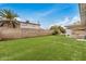Spacious backyard with manicured lawn and block fence offering privacy at 1245 W Lobo Ave, Mesa, AZ 85202