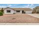 Charming single-story residence showcasing xeriscaping, a spacious driveway, and a clean, inviting facade at 1245 W Lobo Ave, Mesa, AZ 85202
