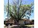 Charming home featuring desert landscaping, a tile roof, and mature shade trees at 1827 E Carla Vista Dr, Gilbert, AZ 85295