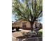 Charming single-story home featuring a well-maintained front yard and a beautiful mature shade tree at 1827 E Carla Vista Dr, Gilbert, AZ 85295