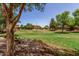 Lush green space in a community park with walking path and mature shade trees providing a serene setting at 4123 S Wayne Pl, Chandler, AZ 85249