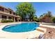 Backyard oasis featuring a sparkling blue pool, mature shade tree, and lush landscaping at 4123 S Wayne Pl, Chandler, AZ 85249