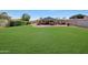 Expansive back yard featuring a well-maintained lawn, a covered patio and mature landscaping at 4418 W Palo Verde Ave, Glendale, AZ 85302