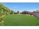 A spacious backyard showcasing lush green grass and private landscaping for outdoor enjoyment at 4418 W Palo Verde Ave, Glendale, AZ 85302